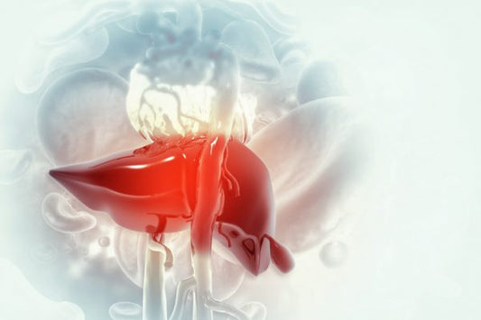 The Importance of a Healthy Liver: Understanding its Functions and How to Maintain it